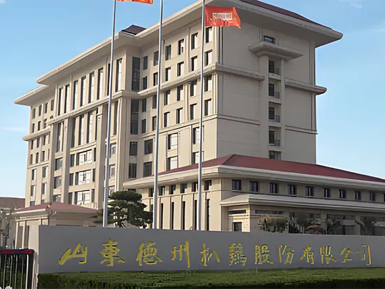 Shandong Dezhou Geschmortes Huhn Co., Ltd.