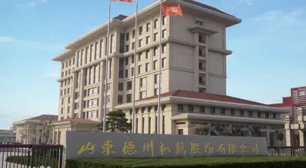 Shandong Dezhou Geschmortes Huhn Co., Ltd.