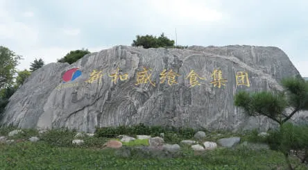 SEAHISUN: JETs erster und Top-Spiral-Gefrier schrank Käufer