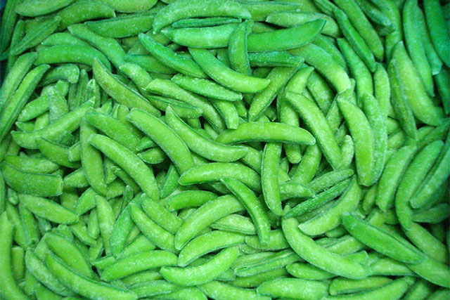 fluidized freezer manufacturer