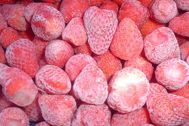 fluidized freezer supplier