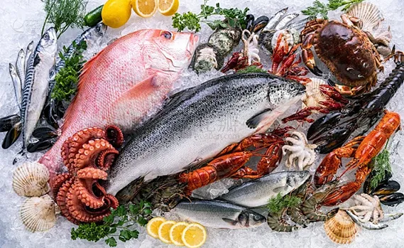 Erhaltung der Frische der aquatischen Produkte mit modernsten Gefrier lösungen